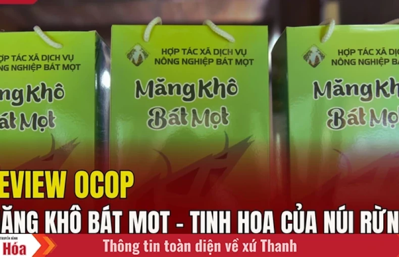 Măng khô Bát Mọt: Đặc sản núi rừng chinh phục thực khách