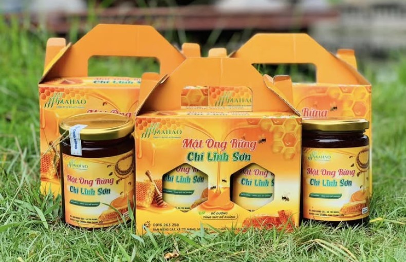 Mật ong rừng Chí Linh Sơn - Món quà từ thiên nhiên