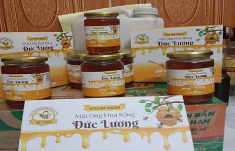Mật Ong Hoa Rừng Đức Lương