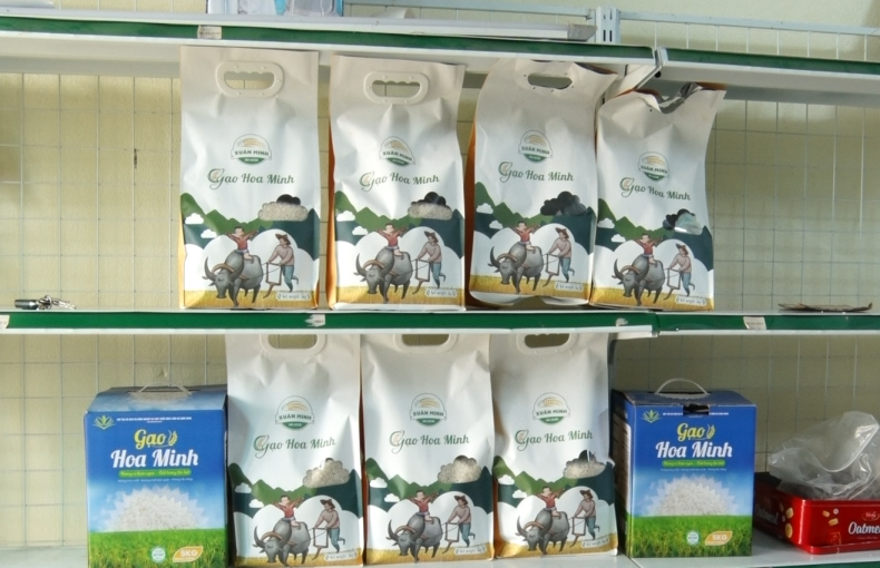 Dẻo thơm hạt gạo Hoa Minh