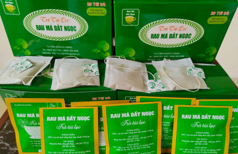 Trà túi lọc rau má Đất Ngọc